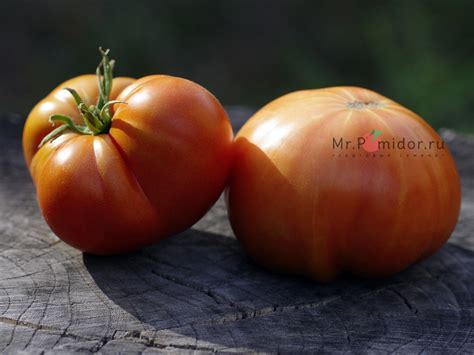 Семена томатов Heirloom Italian (Итальянский фамильный), США - Сортовые ...