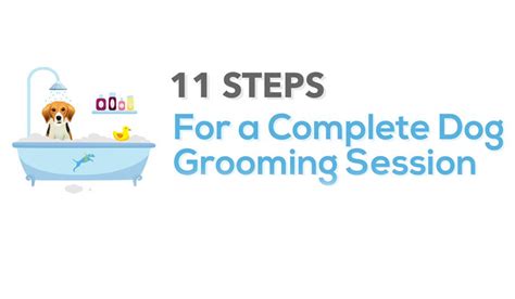 11 Steps For a Complete Dog Grooming Session - Aquapaws