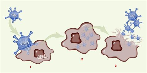 IHMC Public Cmaps (2)