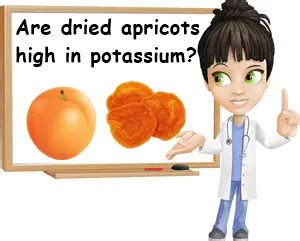 Are Dried Apricots High in Potassium? (An In-Depth Answer) – NatureWord