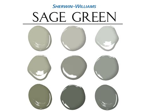 sherwin williams sage green paint palette  house color scheme