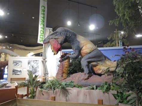 Museum of Western Colorado: Dinosaur Journey Museum (Fruita) - 2021 All ...