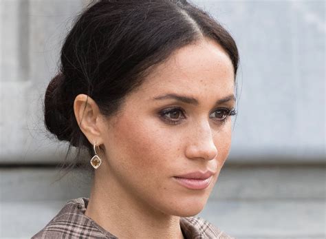 Did Meghan's Mole Twitter Just Leak Classified Information? Image 15