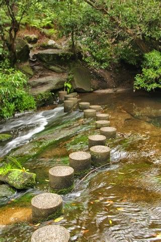 Hornsby to Galston Gorge (GNW) - Aussie Bushwalking