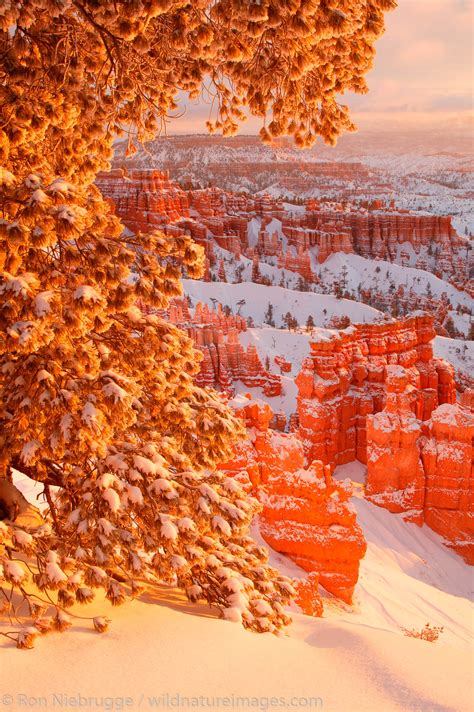 Sunset Point in Winter | Bryce National Park, Utah | Photos by Ron Niebrugge