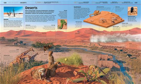 knowledge encyclopedia earth  exciting world  youve nev