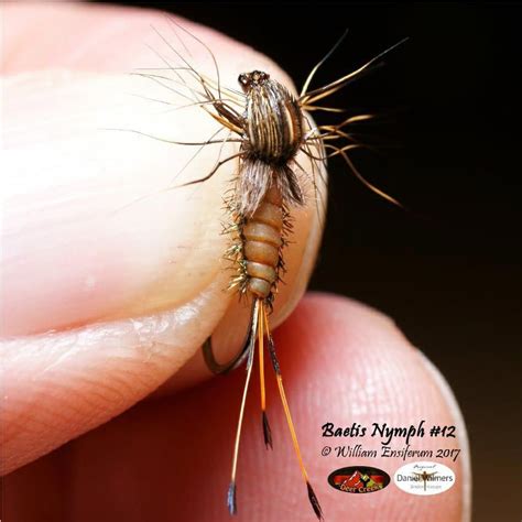 baetis fly pattern pattern tips archive