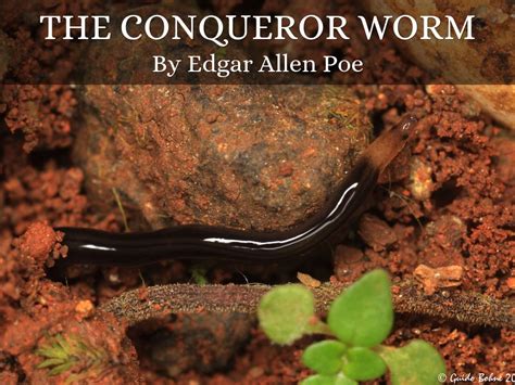 The Conquered Worm by Braeden Camarotab