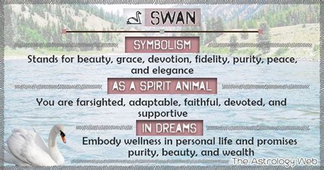 Swan Meaning and Symbolism | The Astrology Web | Spirit animal meaning ...