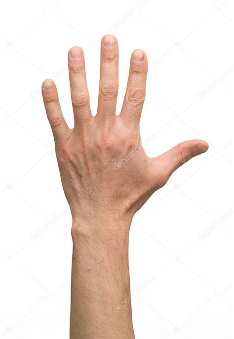 arm hand stock photo  loskutnikov