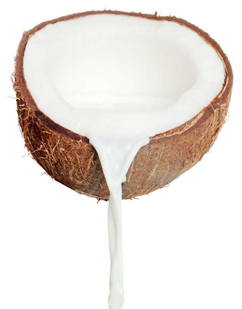coconut milk  england handmade artisan soaps