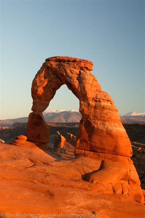 Man Made Arches