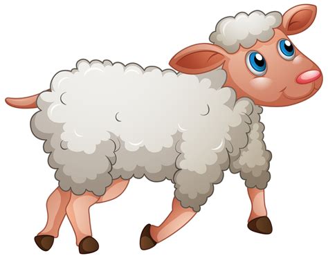 sheep vector art icons  graphics