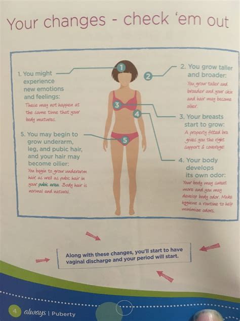 Best 12 The 5 Stages of Puberty – Tanner Stages of Puberty – Artofit