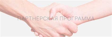 Наши партнёры