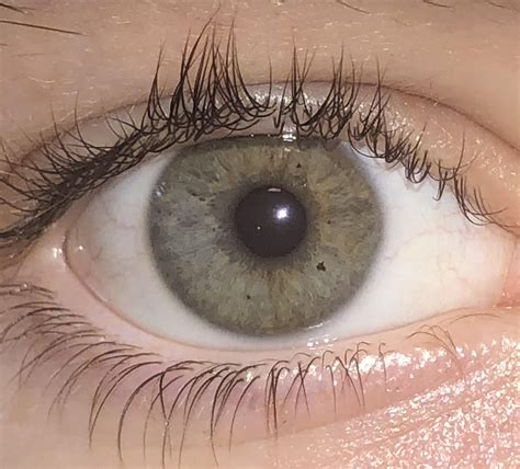 What colour are my eyes? I’ve always said they were grey-ish green, but ...