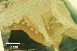 metamorphism  patterns  processes elements magazine