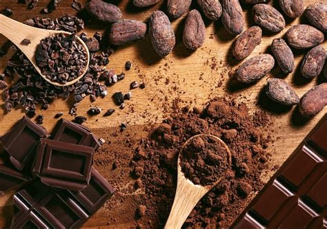 el chocolate en peligro la crisis mundial del cacao  su impacto en