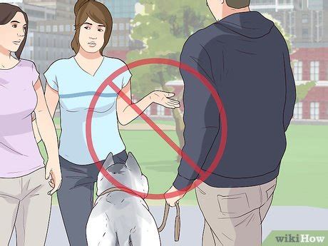 3 Ways to Comfort Your Sick Dog - wikiHow Pet