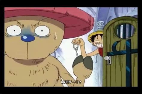 One piece funny moments 😆💕 | Anime Amino