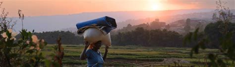 imf blogs