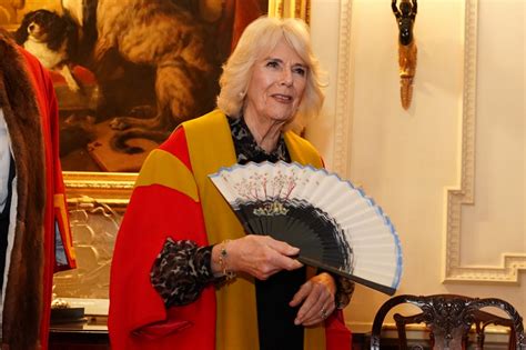 Königin Camilla: Nach Charles' Krebs-Schock: Neuer Titel für Camilla ...