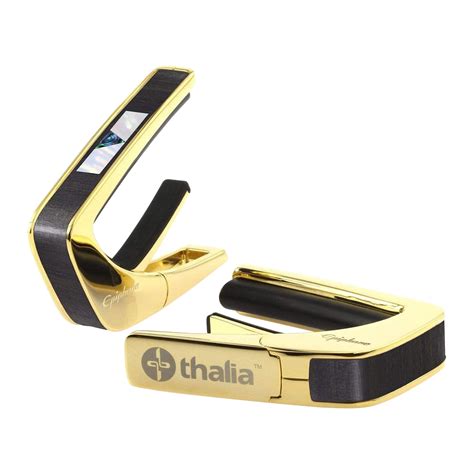 Epiphone Epiphone V-Block Ebony Capo (24K Gold) – Gibson