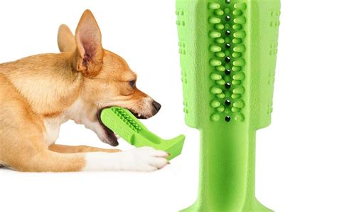 Best Teeth Cleaning Toys For Dogs - TeethWalls