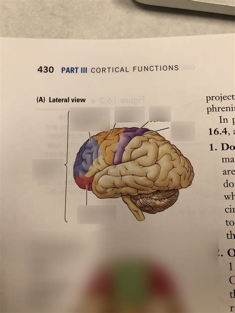 diagram  lateral view frontal lobe quizlet