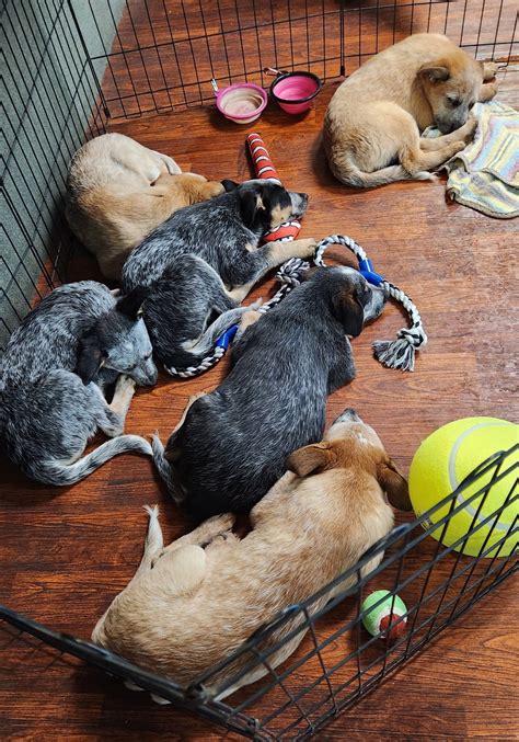 Spring Creek Nursing and Rehabilitation Center