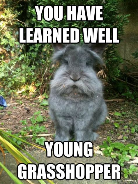 You have learned well Young grasshopper - Misc - quickmeme