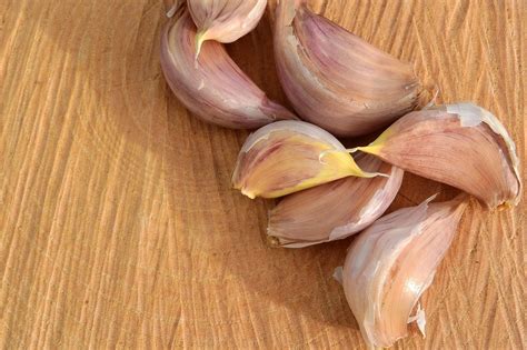 cloves garlic images pixabay