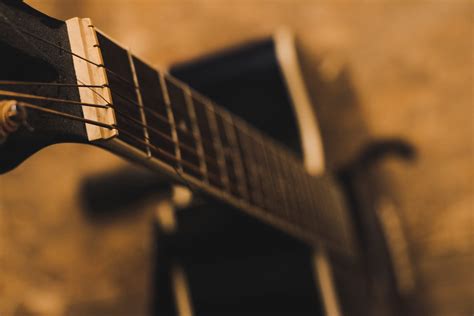 無料画像 : ベースギター, 閉じる, 引っ張られた弦楽器, アコースティックギター, ギタリスト 5184x3456 - - 94754 ...