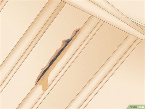 The Sneaky Invaders: 5 Steps To Unmasking Mouse Entry Points