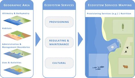 ecosystem services    complex coastal region challenges