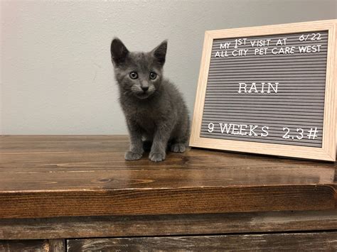 ALL CITY PET CARE: BRUNNER JALEEN DVM - Sioux Falls SD - Hours