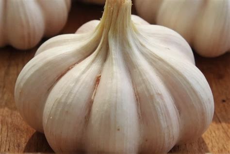 Garlic Clove 'Fur': Skin vs Mold Explained