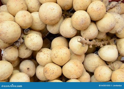 southern langsat longkong fruit   branch   garden royalty