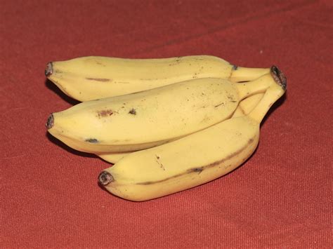 lady finger bananas nutrition  lanny rivera blog
