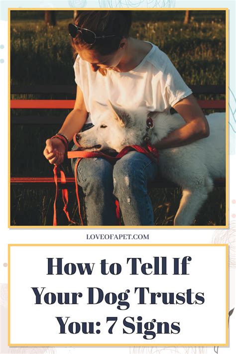 how to tell if your dog trusts you