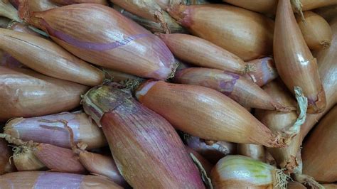 Scallions vs Shallots: What’s the Difference? - Substitute Cooking
