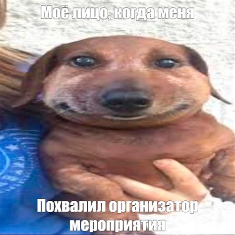 Мем: "Моё лицо, когда меня" - Все шаблоны - Meme-arsenal.com