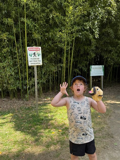 Maria Swan (@mariamswan) • Instagram photos and videos