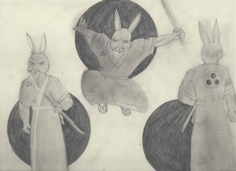 Miyamoto Usagi (2012-verse) by RachelErica on DeviantArt