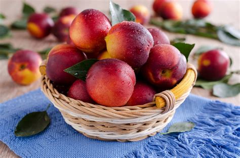 56 Nectarine Varieties: An Overview (With Pictures) | House Grail