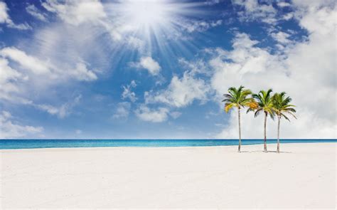 Home Insurance in FL - What's Happening with Orlando, Florida Quotes Now