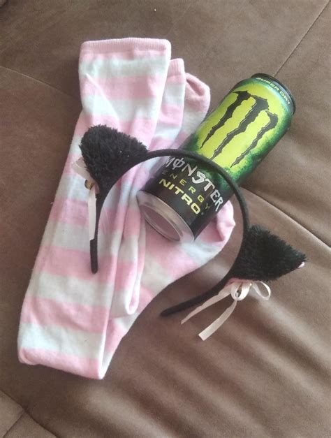 Meowriza has her Surgery today! Wish her well! : r/F1NN5TER