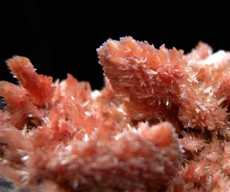 Marin Mineral Company - Mixed Minerals