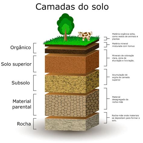Porque O Solo É Importante - Solo - camadas e composição do solo - Geografia e Geologia - InfoEscola