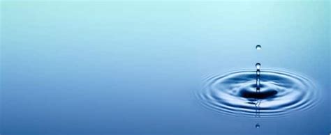 Biodynamic Craniosacral Therapy - BodyWork Professionals